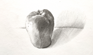 Základy stínování 1 – Jak nakreslit jablko